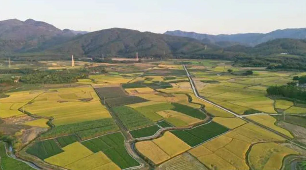 ope体育平台广东英德：践行绿色发展理念探索种养循环农业新路径(图1)