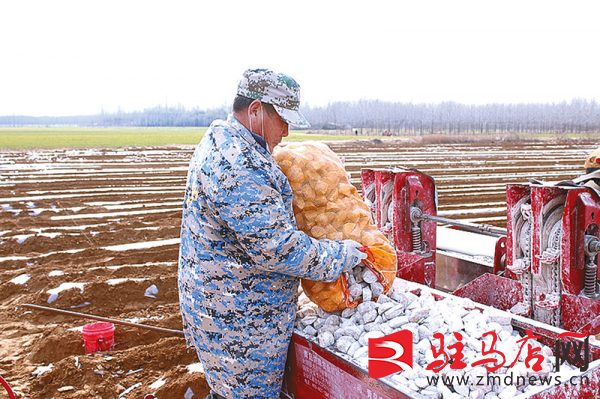 轮作种植ope体育网址 提高土地利用率(图2)