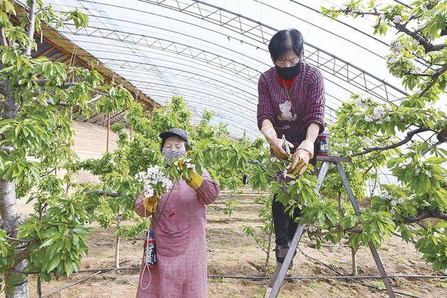 村里筑梦 心里开花——甘肃西峰区什社乡新春见闻(图2)