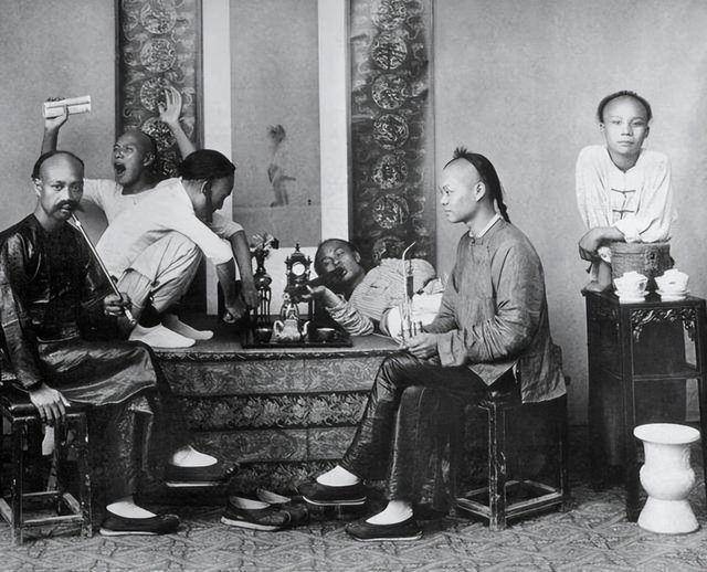 国内唯一合法种植“罂粟”的地方规模上千亩武警全天持枪守卫(图2)