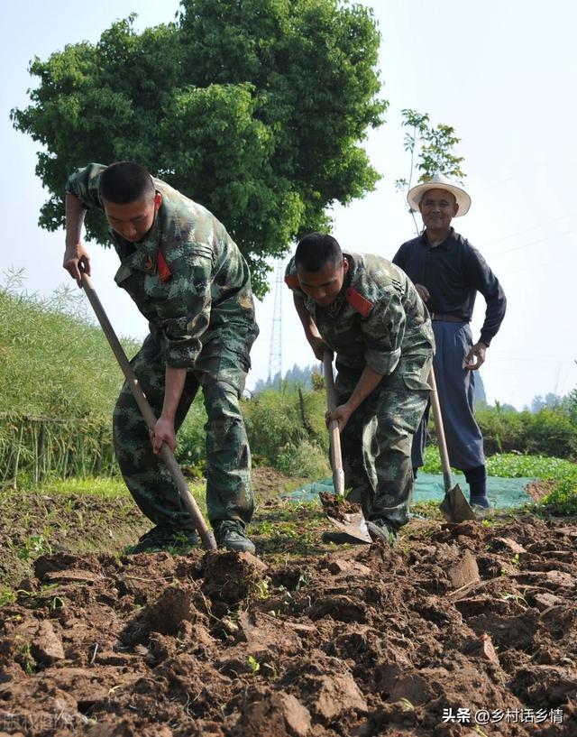 春天不管种植什么蔬菜记住先做好这几点要不白费劲也长不好(图2)