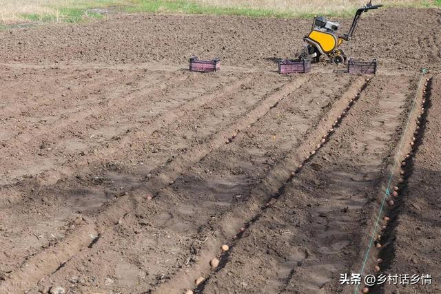 春天不管种植什么蔬菜记住先做好这几点要不白费劲也长不好(图3)