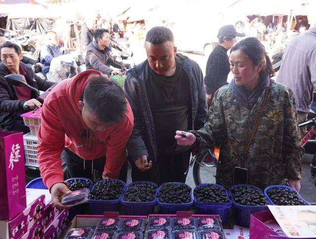 车厘子“唱主角”每天8万人次逛金马正昌水果批发市场(图3)