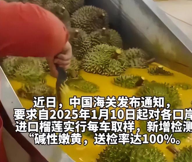 赚着中国人的钱还来毒害中国人泰国榴莲检测出致癌物损失上亿(图3)