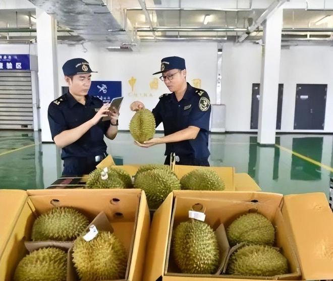 赚着中国人的钱还来毒害中国人泰国榴莲检测出致癌物损失上亿(图6)