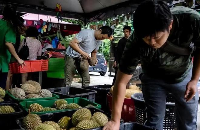 赚着中国人的钱还来毒害中国人泰国榴莲检测出致癌物损失上亿(图7)