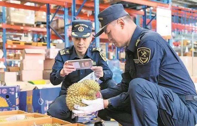 赚着中国人的钱还来毒害中国人泰国榴莲检测出致癌物损失上亿(图15)