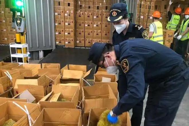 赚着中国人的钱还来毒害中国人泰国榴莲检测出致癌物损失上亿(图16)