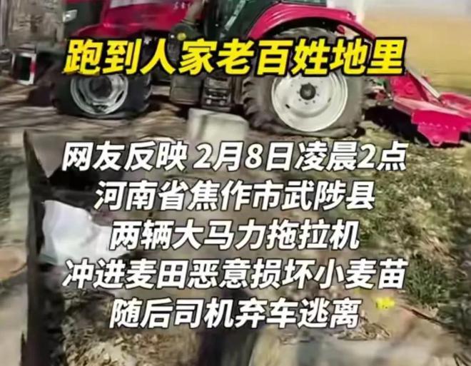 ope体育网址20亩麦苗被连夜铲除后续详情曝光一名司机逃跑一名司机被抓(图2)