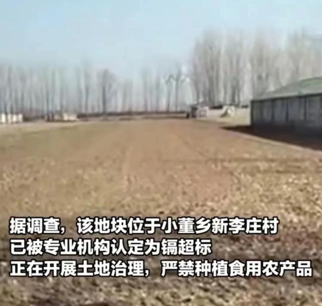 ope体育网址20亩麦苗被连夜铲除后续详情曝光一名司机逃跑一名司机被抓(图4)