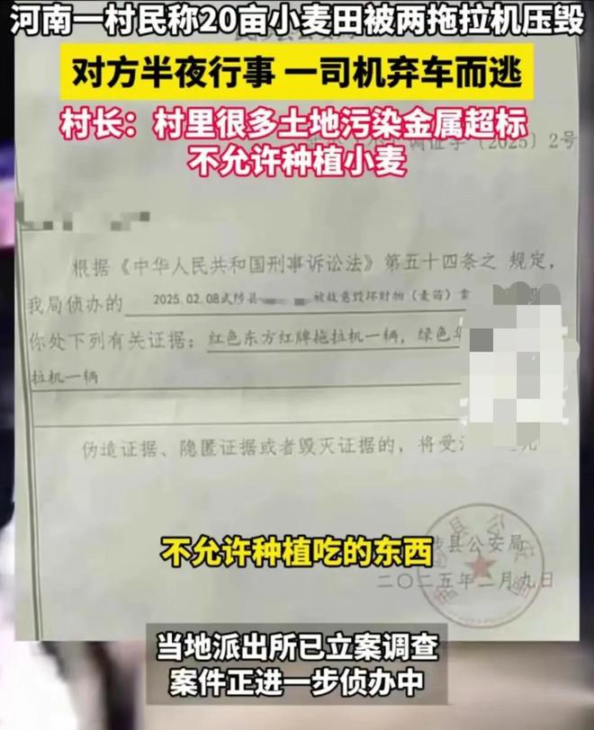 ope体育网址20亩麦苗被连夜铲除后续详情曝光一名司机逃跑一名司机被抓(图5)
