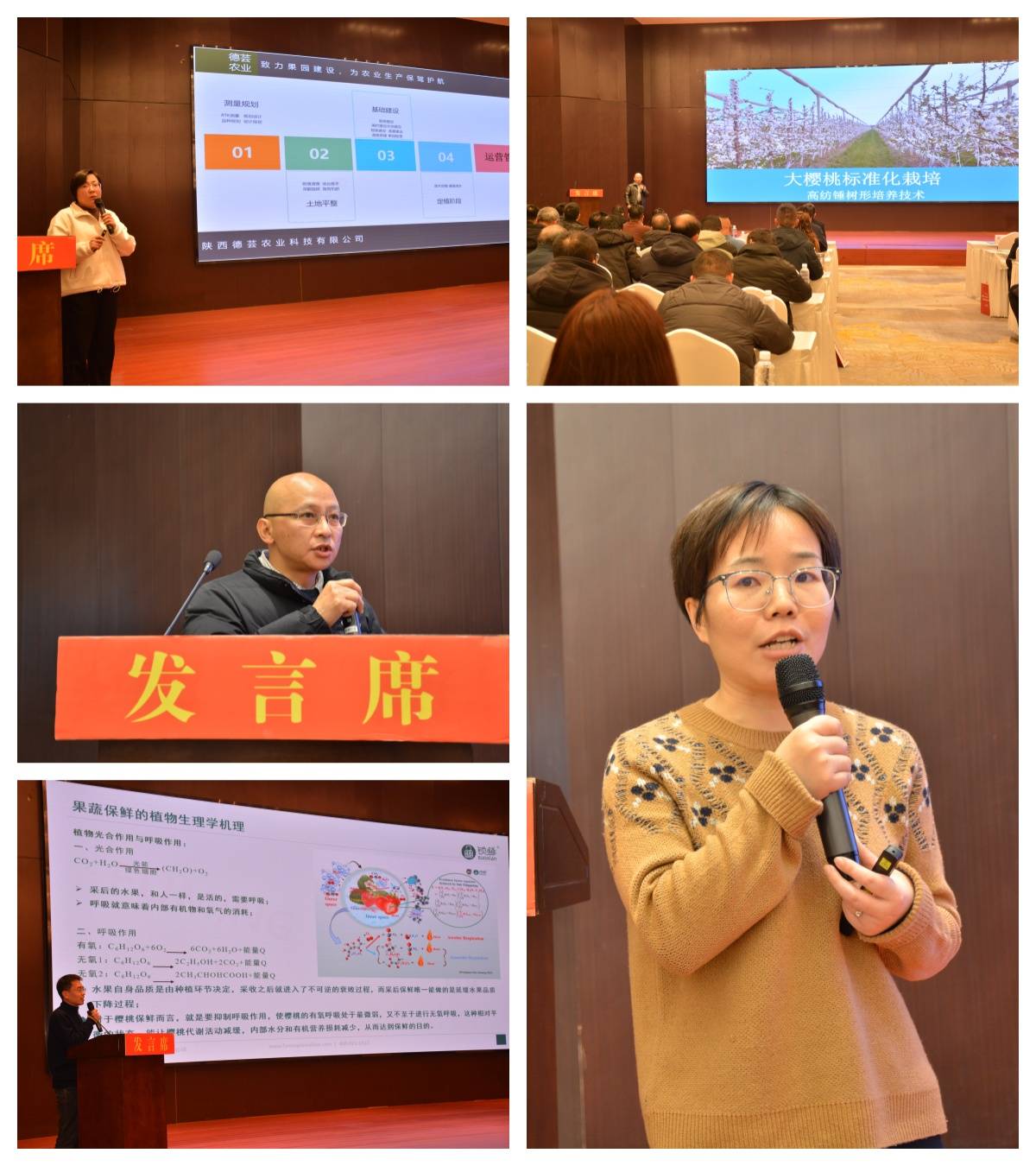 ope体育平台2025年大樱桃（车厘子）标准化高效栽培技术研讨会在陕西永寿成功举办(图3)