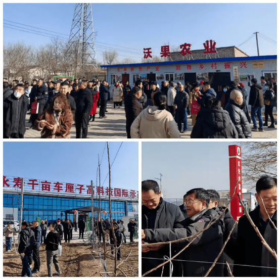 ope体育平台2025年大樱桃（车厘子）标准化高效栽培技术研讨会在陕西永寿成功举办(图4)