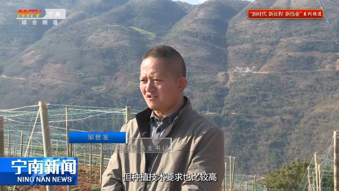 大同镇：百香果试种先行 托起移民致富新希望(图2)