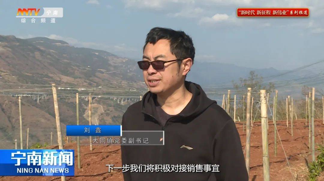 大同镇：百香果试种先行 托起移民致富新希望(图3)
