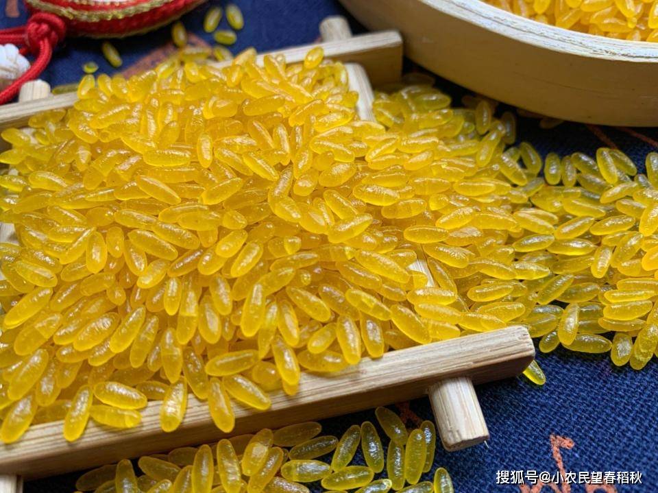 种植黄金大米有什么条件？我们普通人可以去种吗？能吃能卖钱吗(图1)