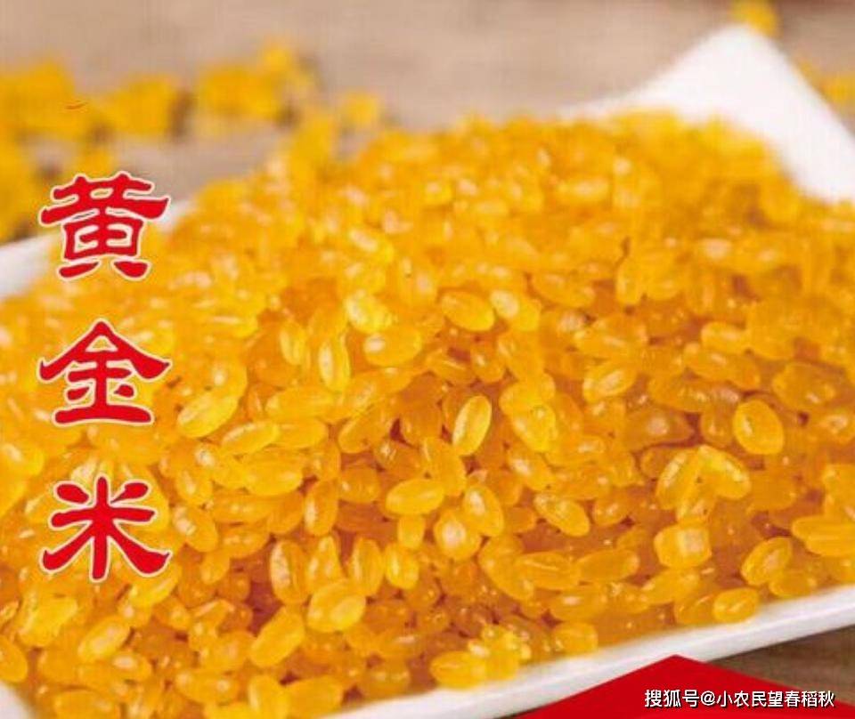 种植黄金大米有什么条件？我们普通人可以去种吗？能吃能卖钱吗(图5)