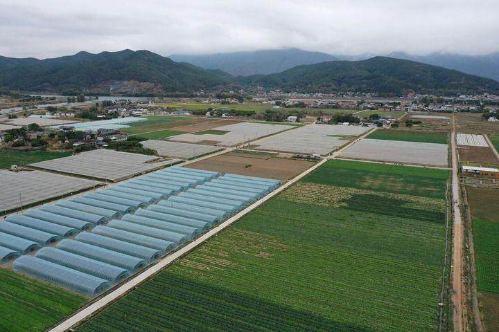 微“观”梅州看振兴(图2)