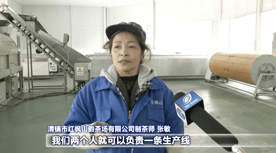 ope体育网址春茶抢“鲜”上市贵阳贵安开启春天里的茶叶经济(图4)
