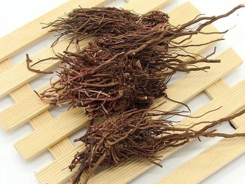 中药材茜草走势分析(图1)