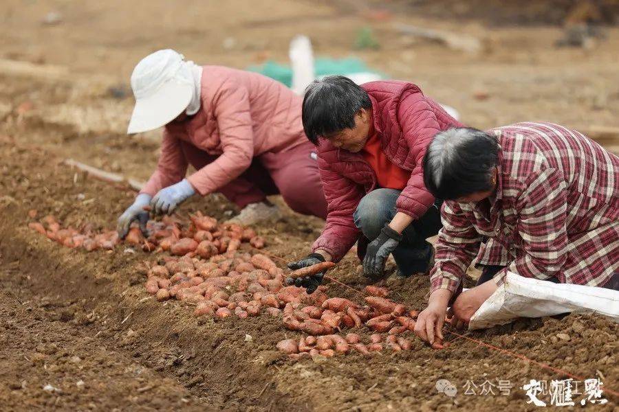 万象“耕”新不负春(图3)