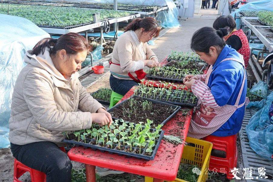 万象“耕”新不负春(图7)