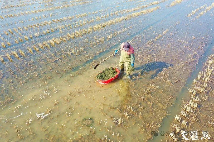 万象“耕”新不负春(图10)