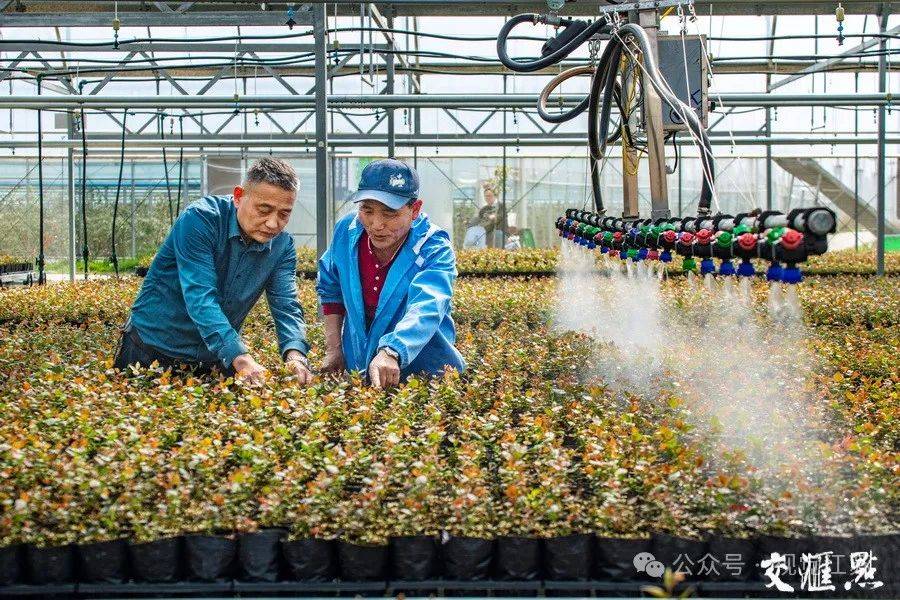 万象“耕”新不负春(图17)
