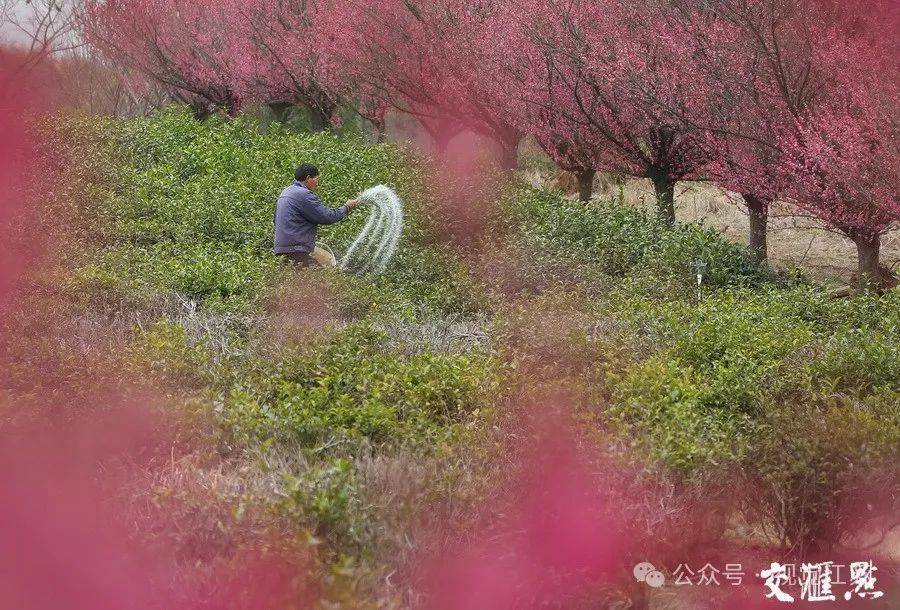 万象“耕”新不负春(图20)