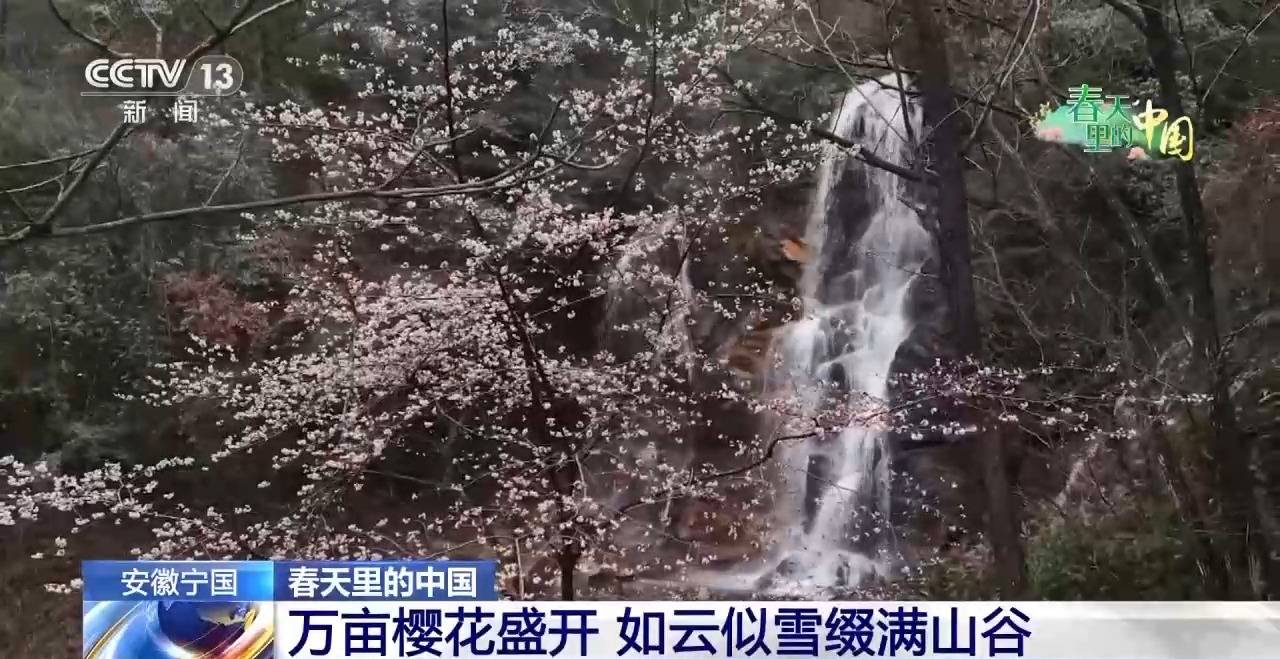 春花烂漫 万象“耕”新春天里的中国活力满满(图2)