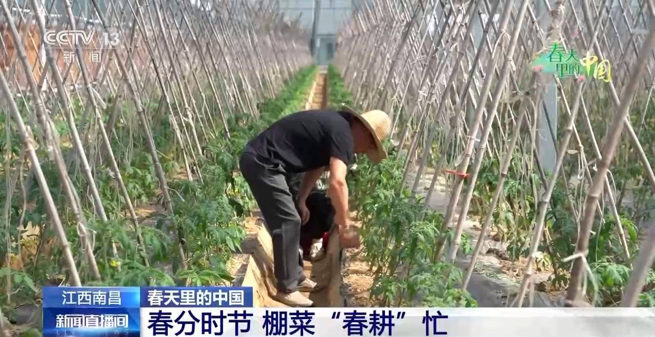 春花烂漫 万象“耕”新春天里的中国活力满满(图3)