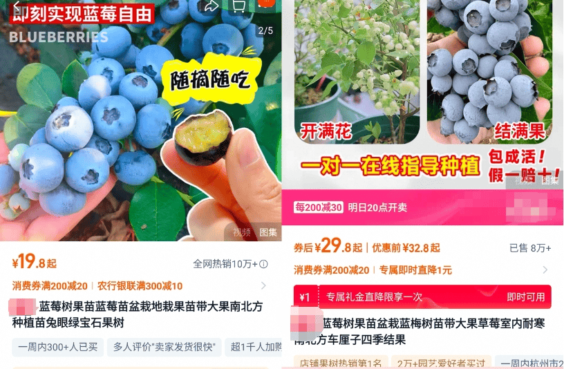 突然火了暴涨246%(图2)