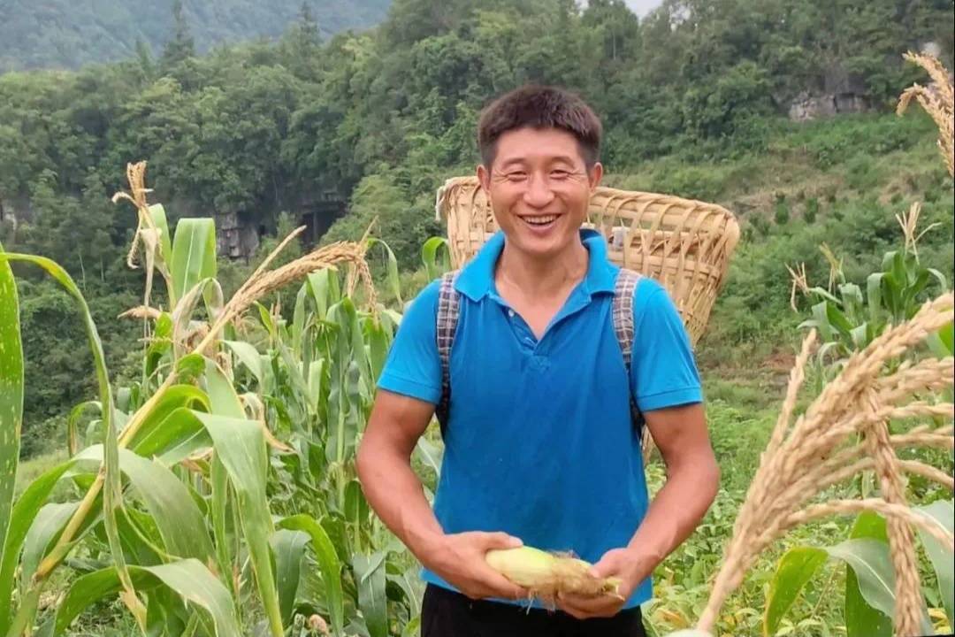 贵州务川：一根玉米带来的“甜蜜事业”(图3)