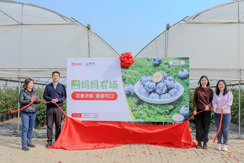 钱大妈与鑫荣懋携手共建蓝ope体育官网莓和国产葡萄类标准种植基地正式揭牌(图4)