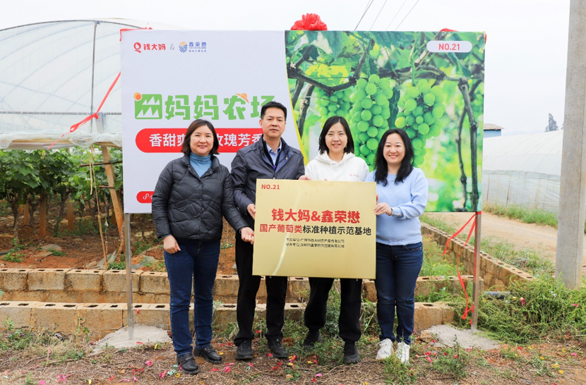 钱大妈与鑫荣懋携手共建蓝ope体育官网莓和国产葡萄类标准种植基地正式揭牌(图5)