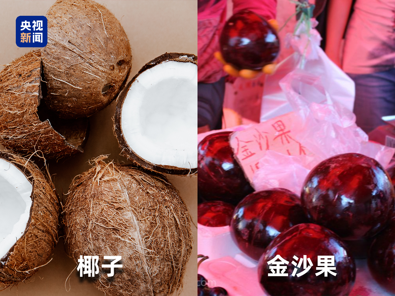 起底“水果骗局”这些“智商税”水果要知道→(图4)