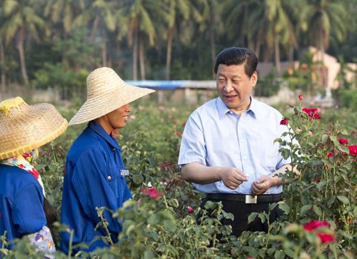 时政微观察丨生活像花儿一样美(图2)