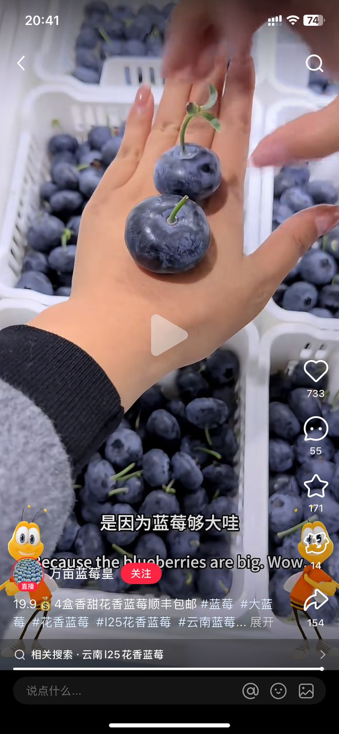ope体育平台蓝莓才是中国的天选超级水果(图3)