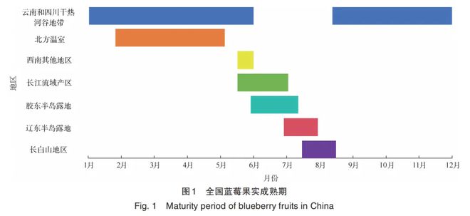 ope体育平台蓝莓才是中国的天选超级水果(图6)