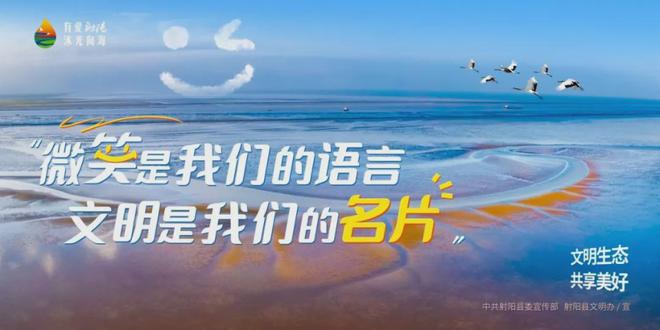 国家级高产样板田射阳+2(图2)