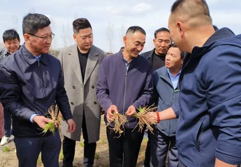 河北道地中药材生态种植现场观摩会在易县召开(图5)