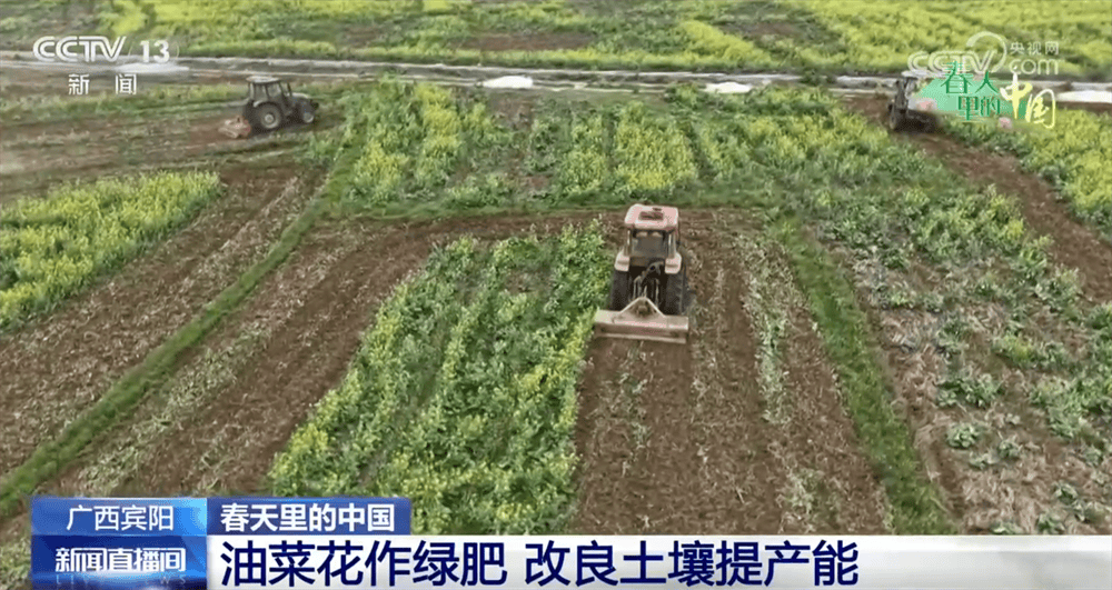 现代农机为传统农业注入新动能 万象“耕”新奏响“春耕进行曲”(图4)
