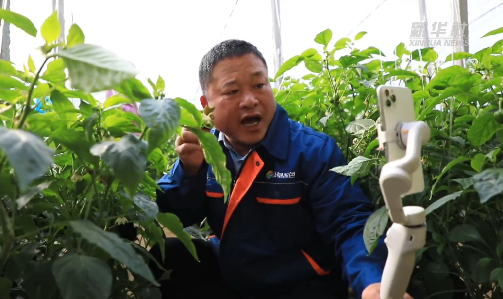 春耕向“新”提质 大地焕发新活力(图4)