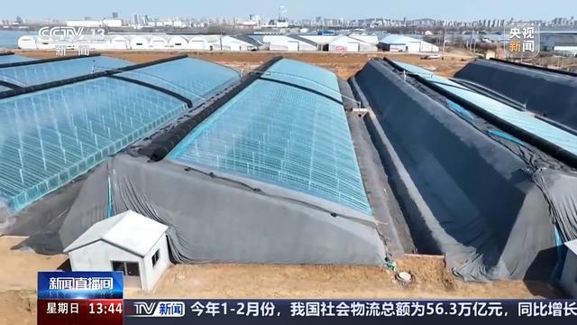 ope体育下载蘑菇种植和空调产业跨界合作 未来设施农业的“N种”打开方式(图4)