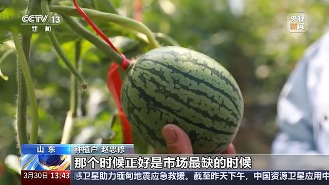 ope体育下载蘑菇种植和空调产业跨界合作 未来设施农业的“N种”打开方式(图2)