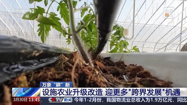 ope体育下载蘑菇种植和空调产业跨界合作 未来设施农业的“N种”打开方式(图6)