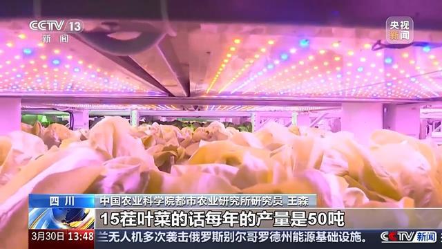 ope体育下载蘑菇种植和空调产业跨界合作 未来设施农业的“N种”打开方式(图8)