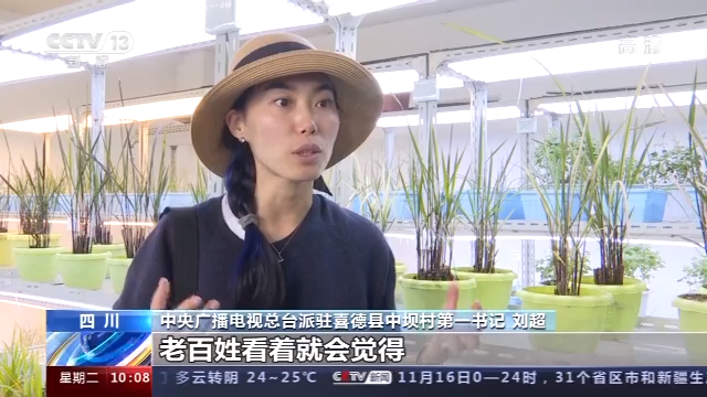 土壤改良科学种植 今年喜德中坝村的“冬闲”时节不一样(图4)
