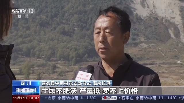 土壤改良科学种植 今年喜德中坝村的“冬闲”时节不一样(图3)