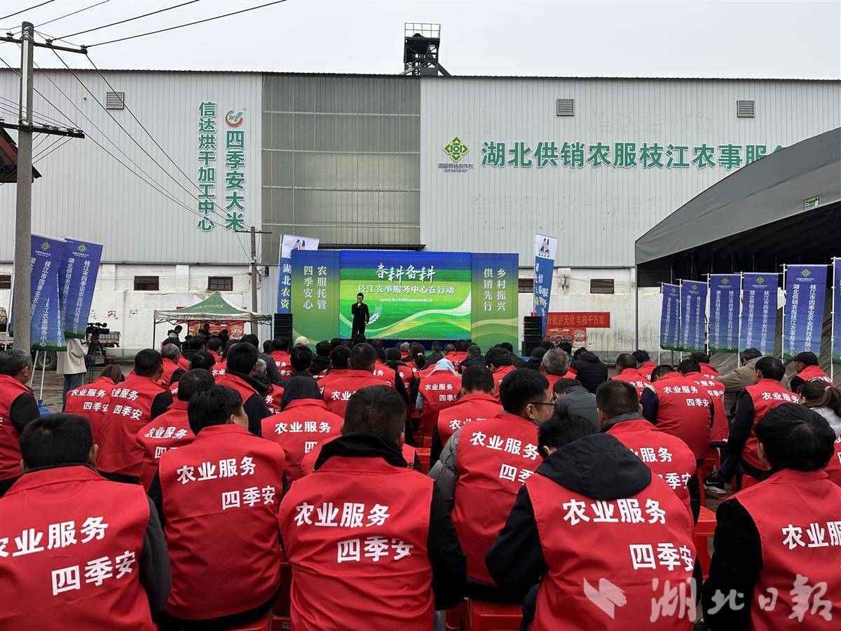 2000亩种植订单分给46个农户 农服公司“自找麻烦”(图3)